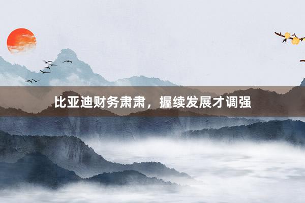 比亚迪财务肃肃，握续发展才调强